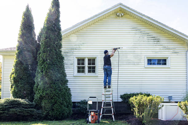 Best Sidewalk and Walkway Pressure Cleaning in Idylwood, VA